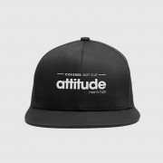 attitude1